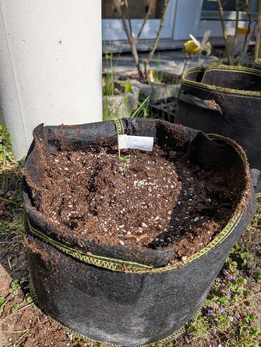 PXL_20250402_125908828