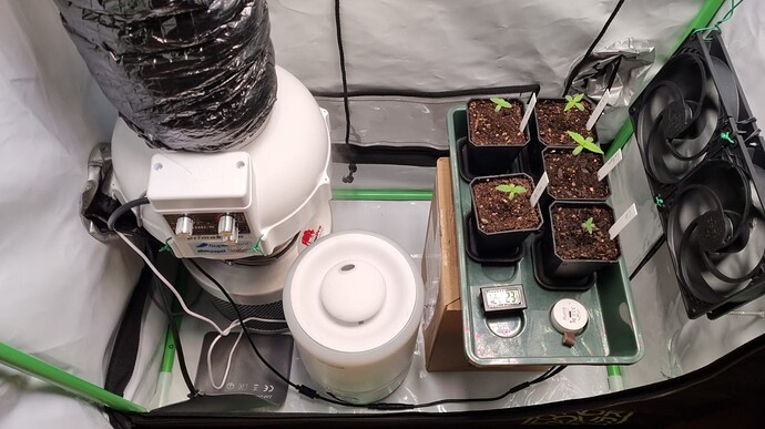 WhatsApp Image 2024-10-26 at 12.15.26