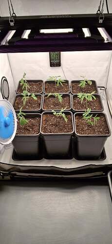 Growreport Bild 2