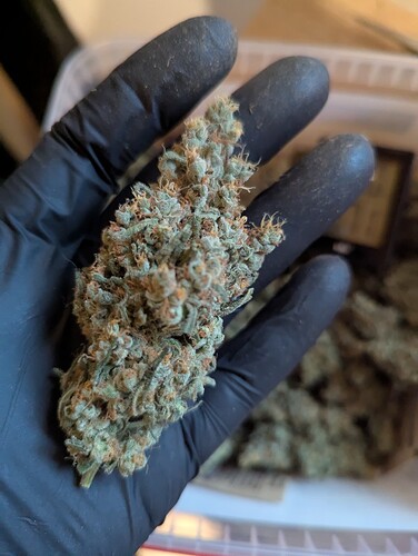 PXL_20250903_164024114