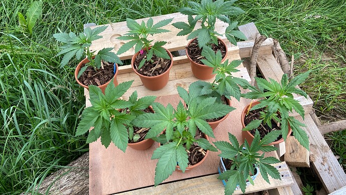 Growreport Bild 9