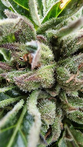 Growreport Bild 46