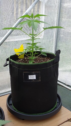Growreport Bild 12