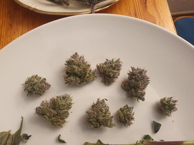 Growreport Bild 8
