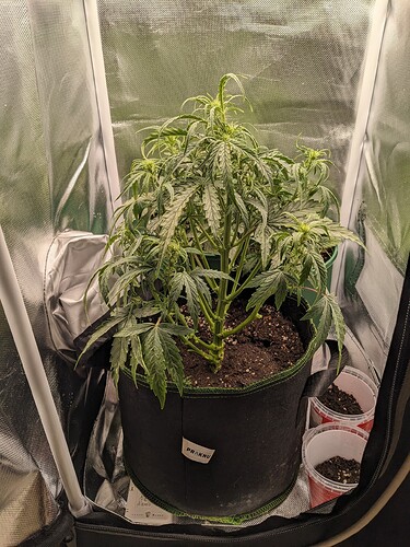 PXL_20240519_230049749