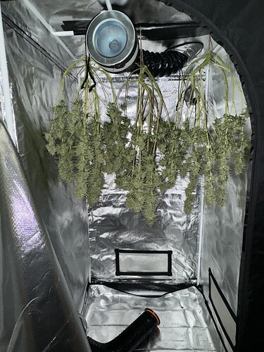 Growreport Bild 4
