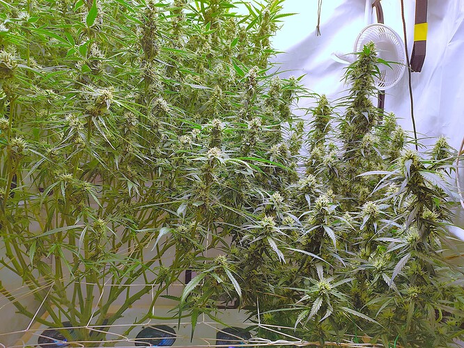 Growreport Bild 12