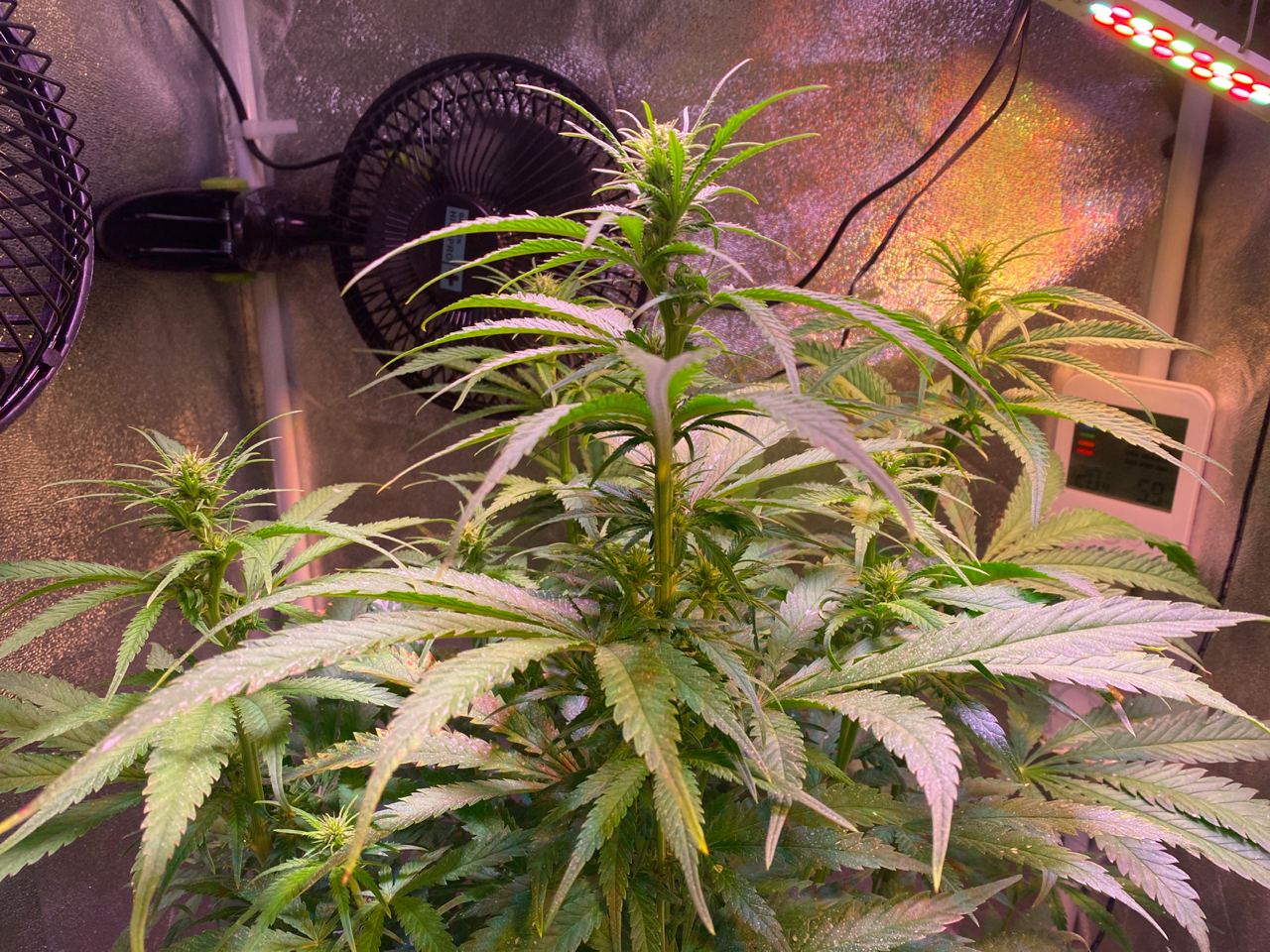 Growreport Bild 20