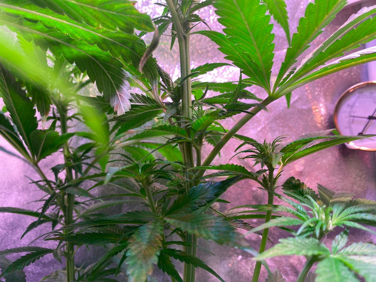 Growreport Bild 10
