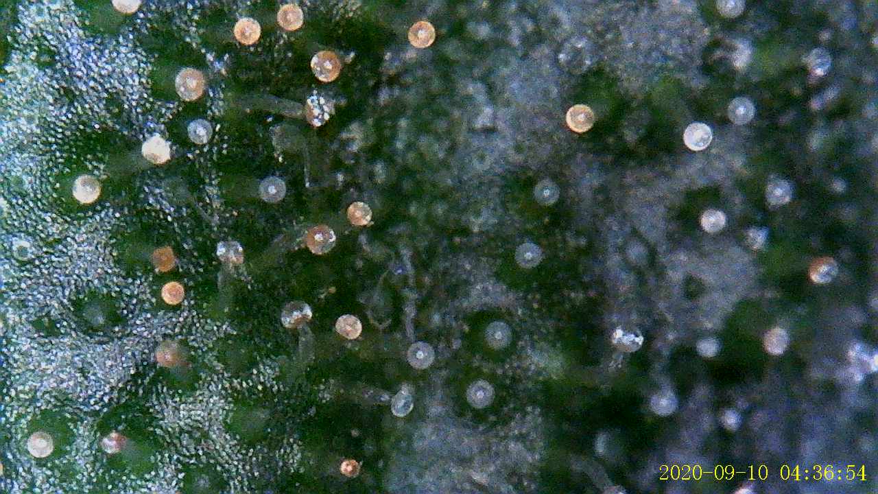 Growreport Bild 16