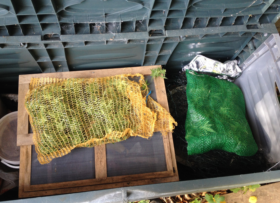 Growreport Bild 8