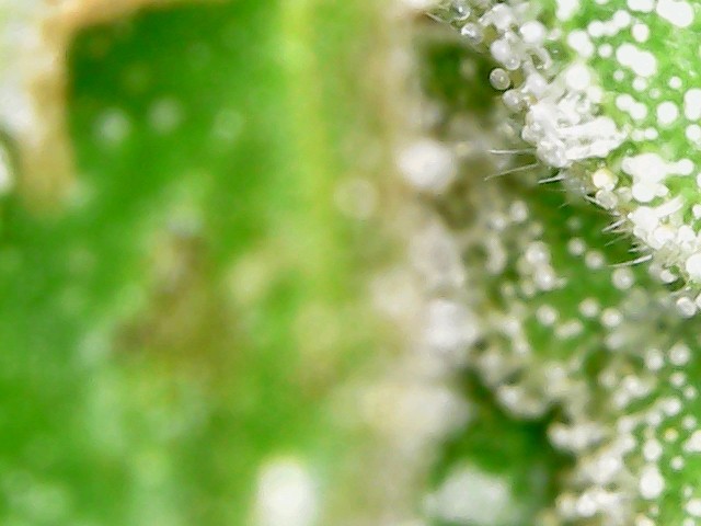 usbcamera20211209115215
