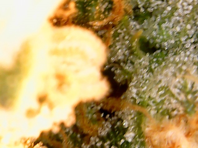 2021-10-09_23-40-39-34