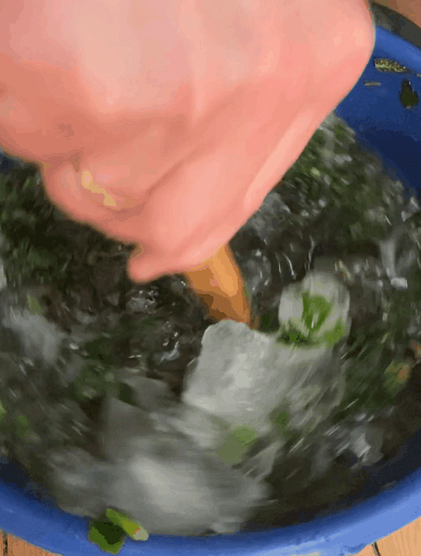 Vid-ice Kopie