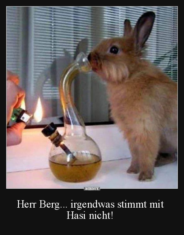 Lustige Bilder und Witze zum Thema Cannabis Offtopic Forum
