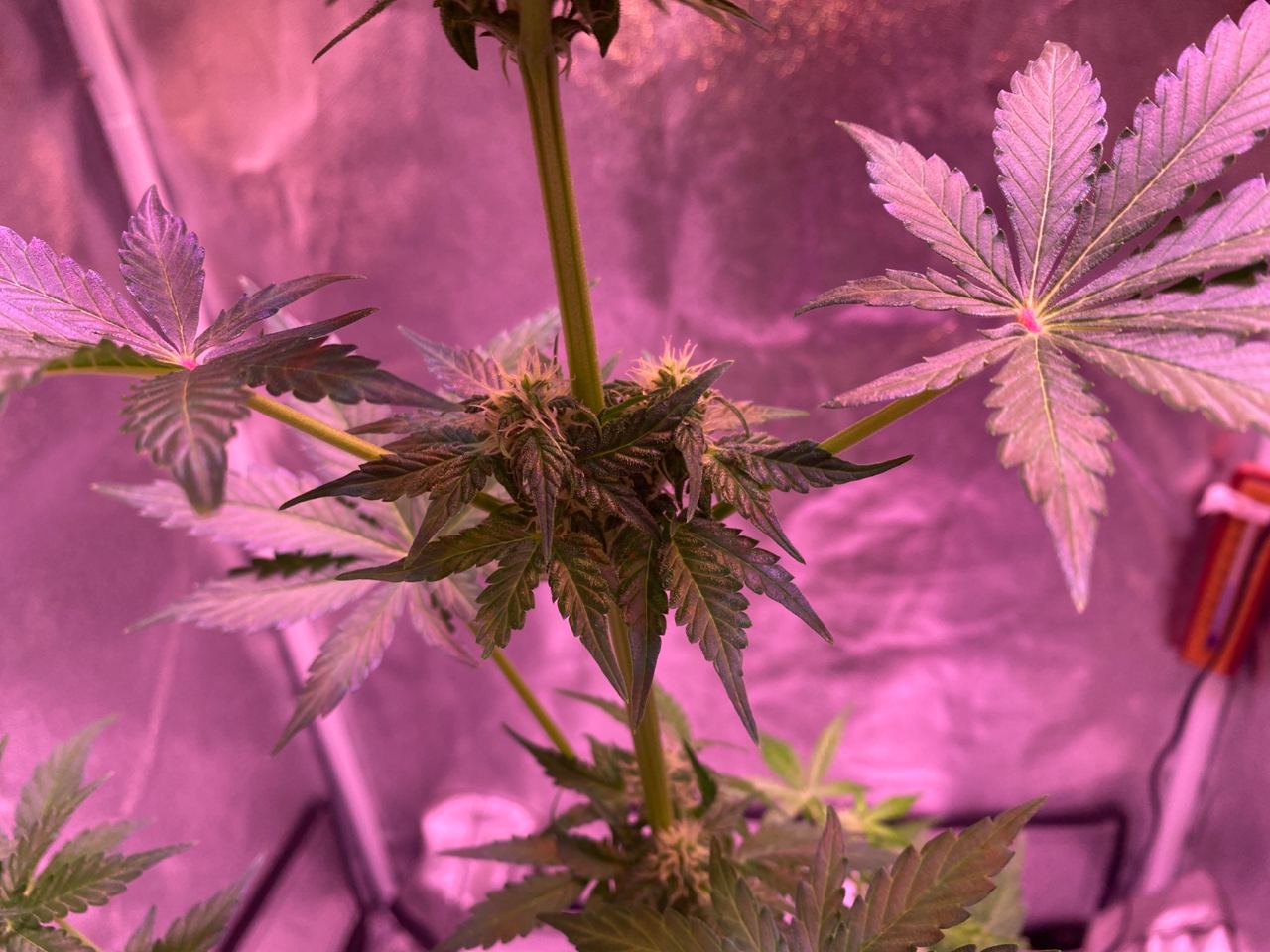 Growreport Bild 23