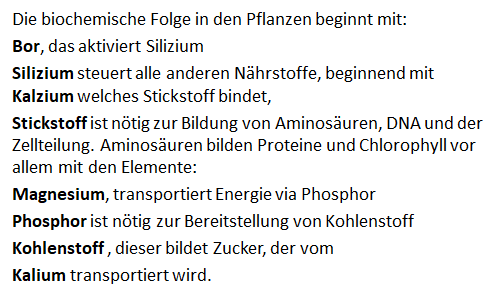 Biochemische Folge in den Pflanzen