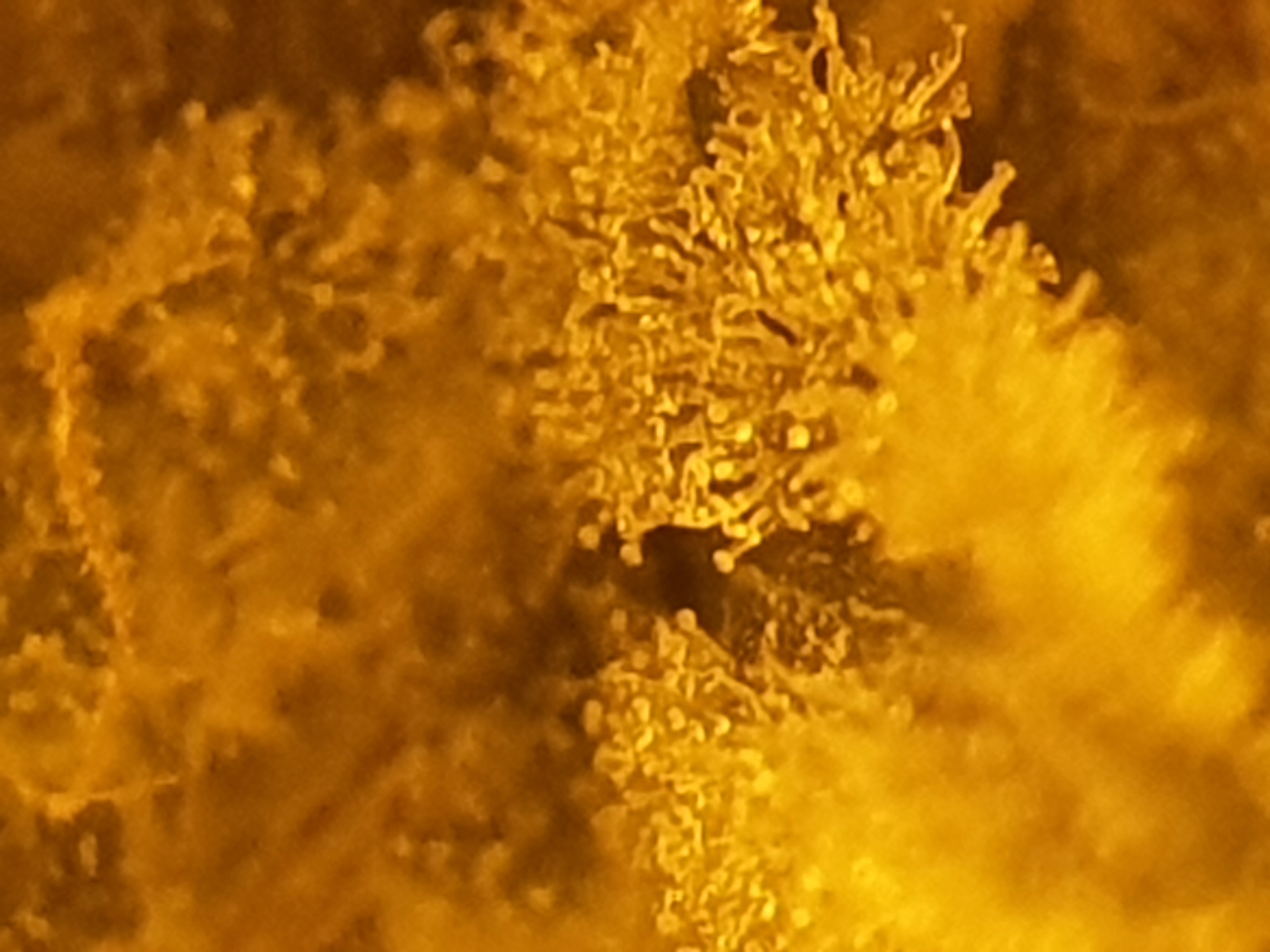 20211009_234441(0)
