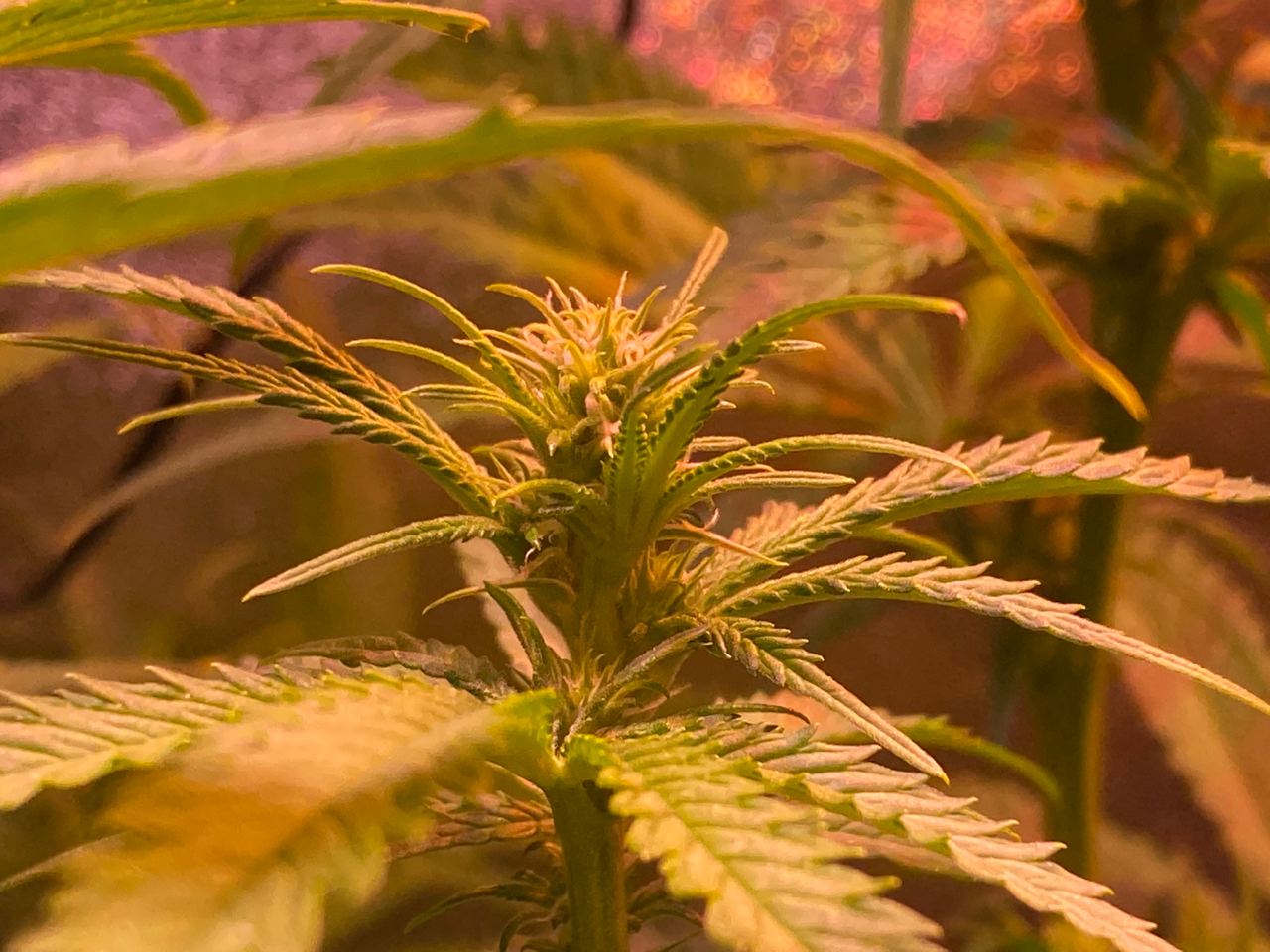 Growreport Bild 17