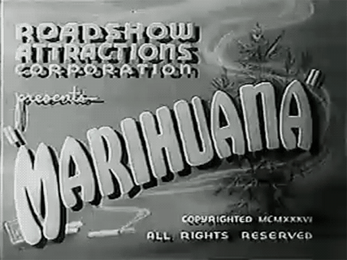 Marihuana