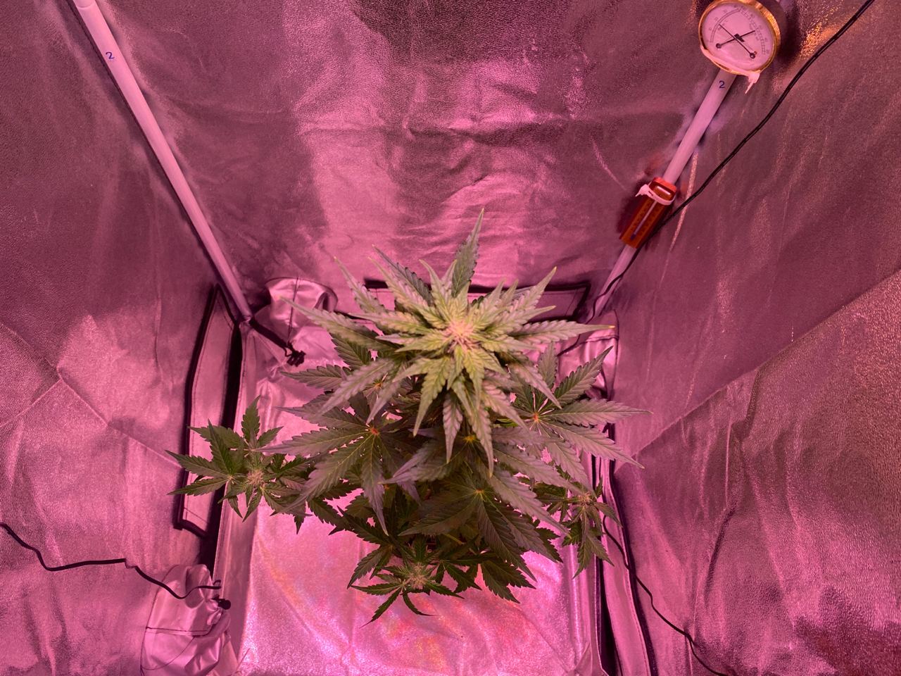 Growreport Bild 26