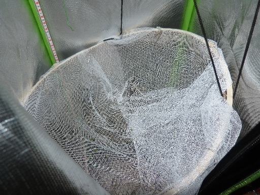 P1280823