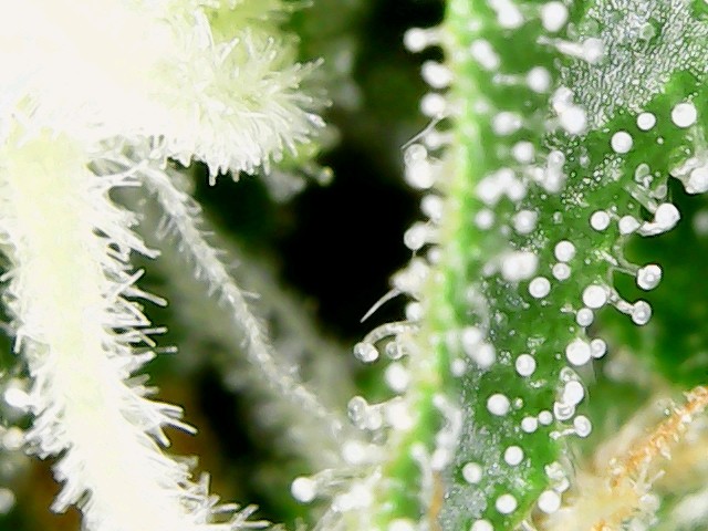 usbcamera20211209115203