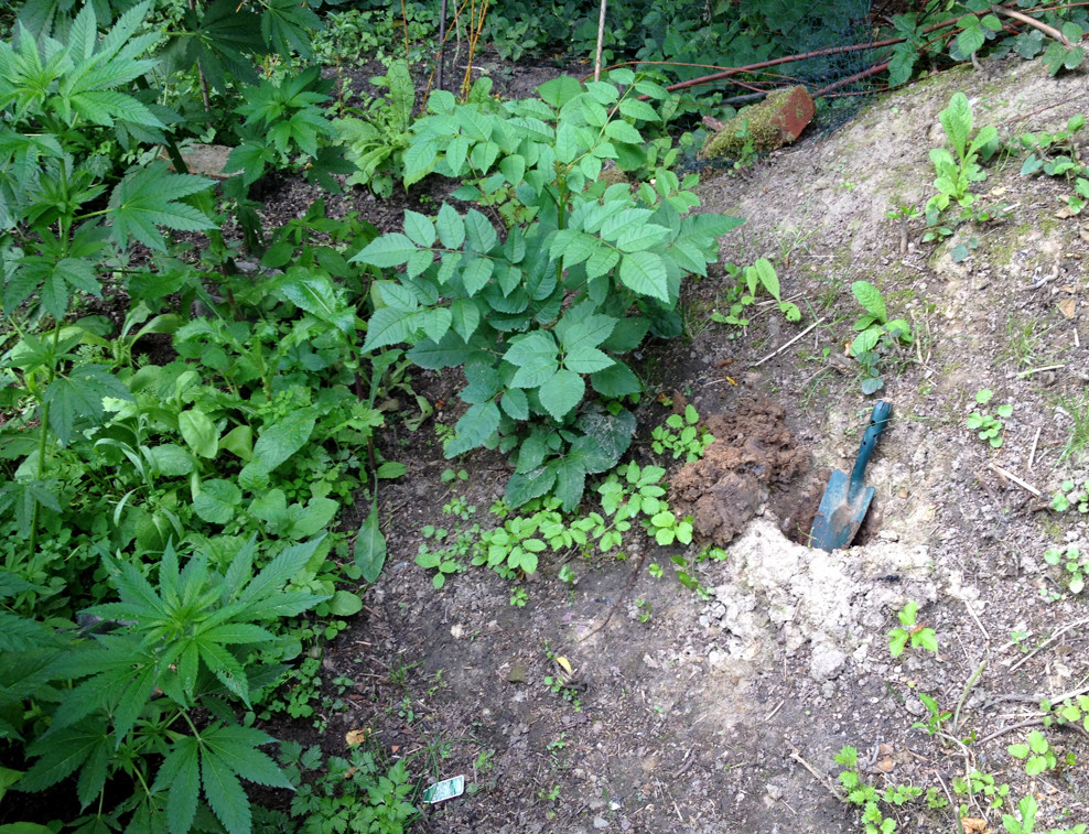 Growreport Bild 23