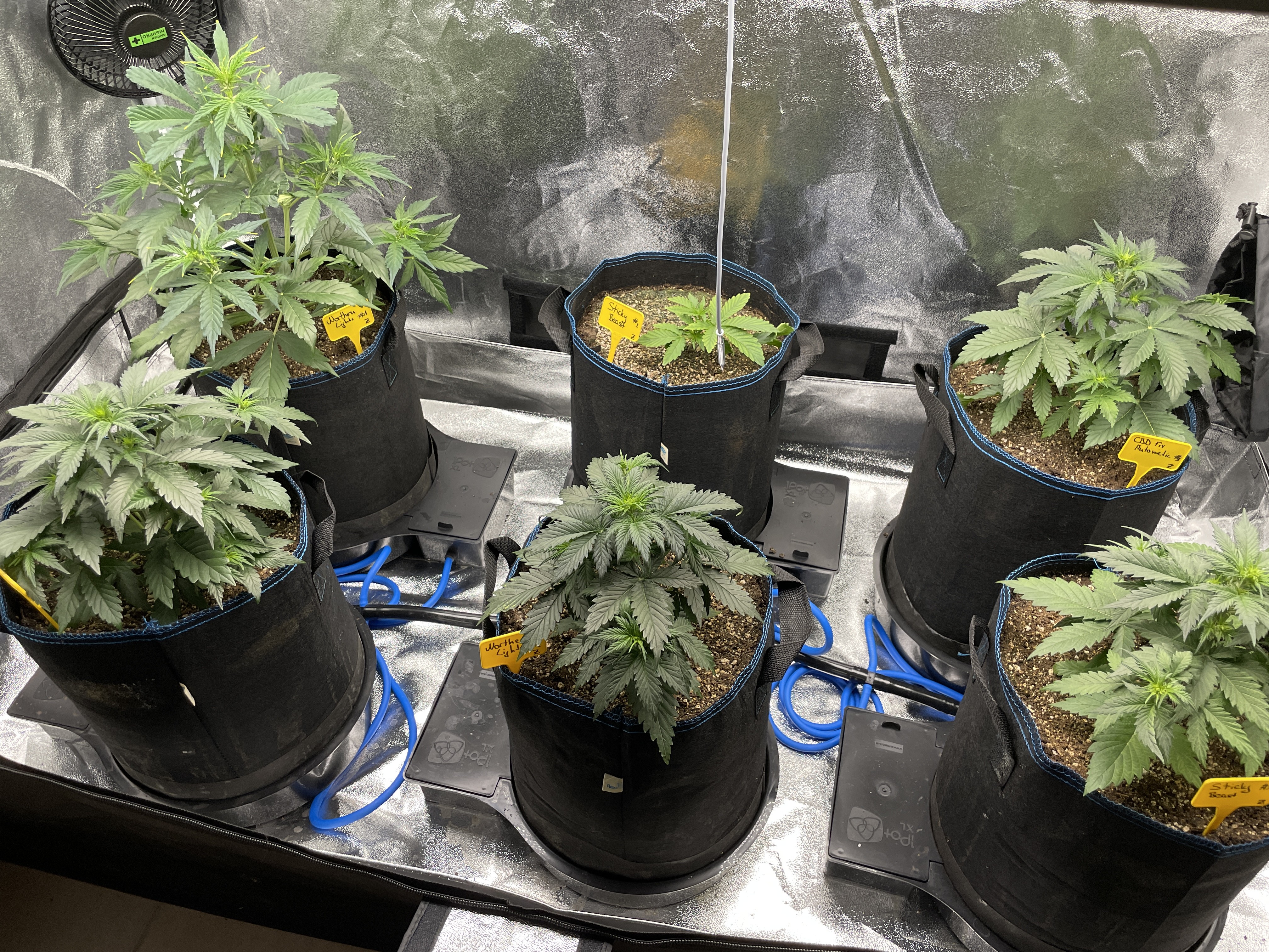 20211017_081322645_iOS