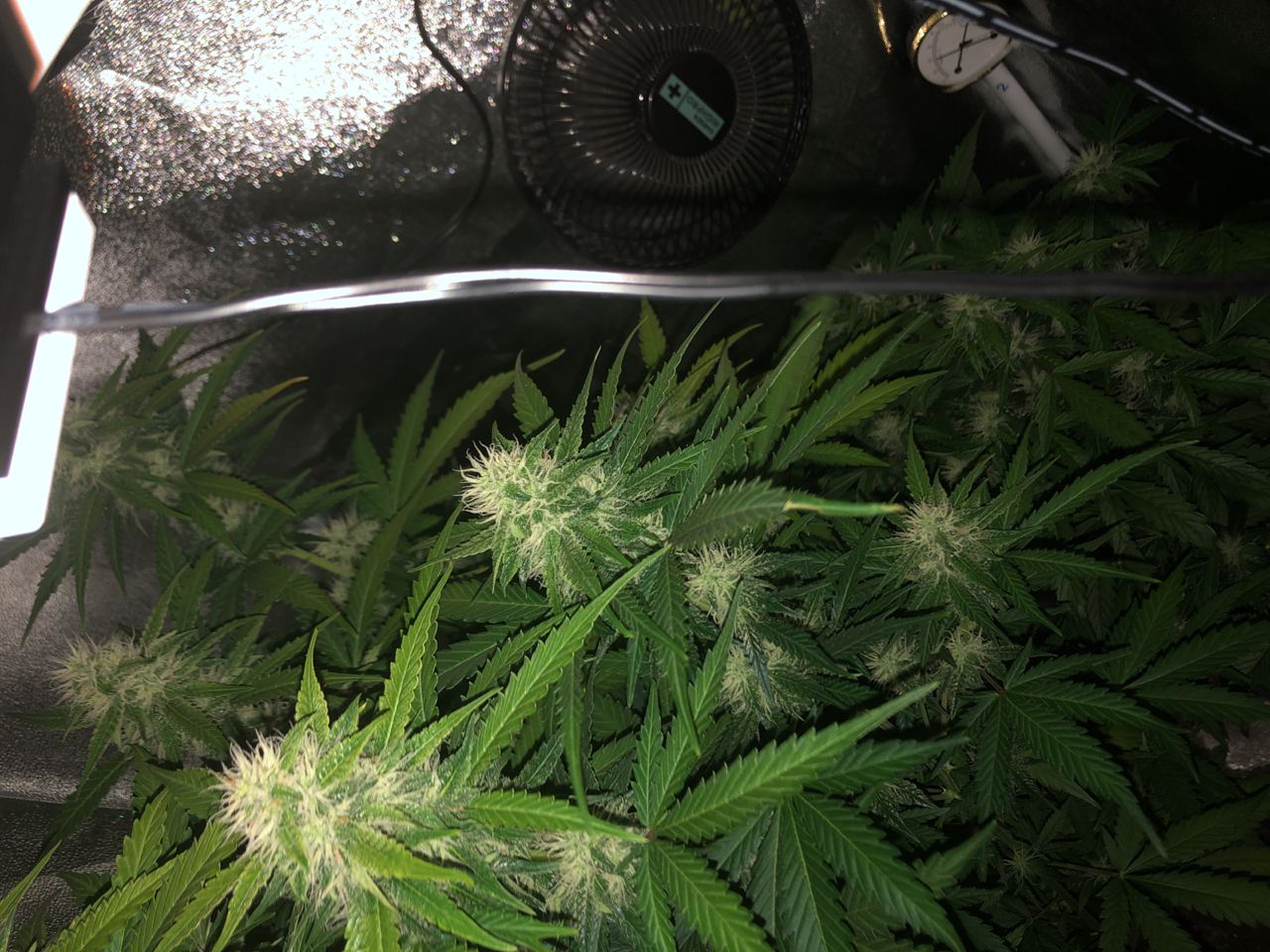 Growreport Bild 11