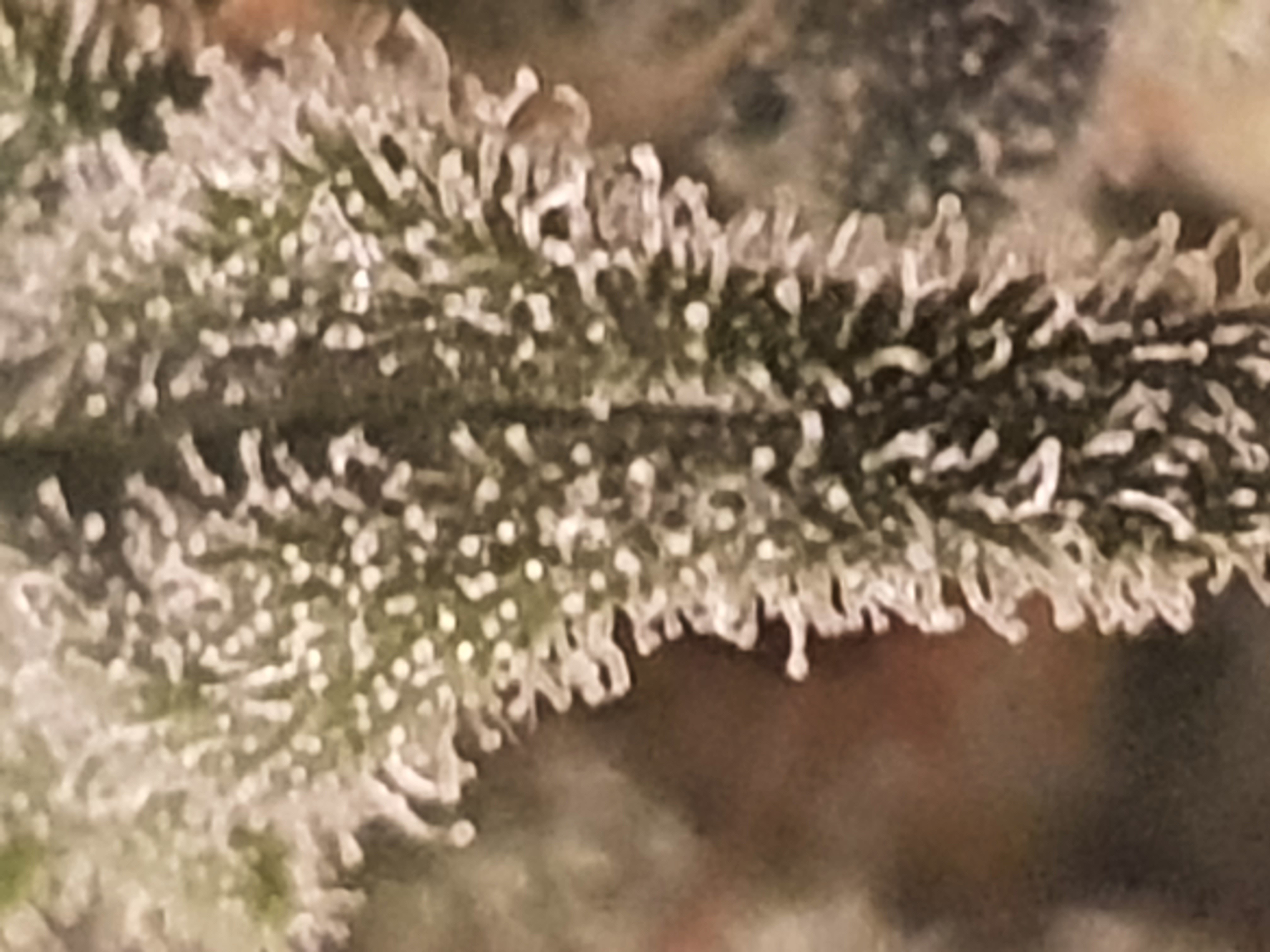 20211011_155021