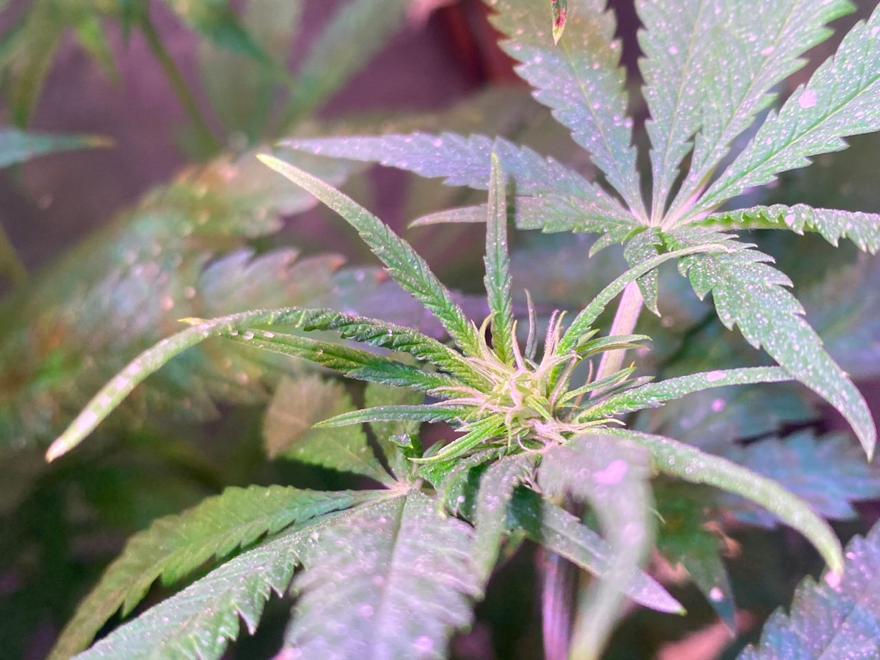 Growreport Bild 18