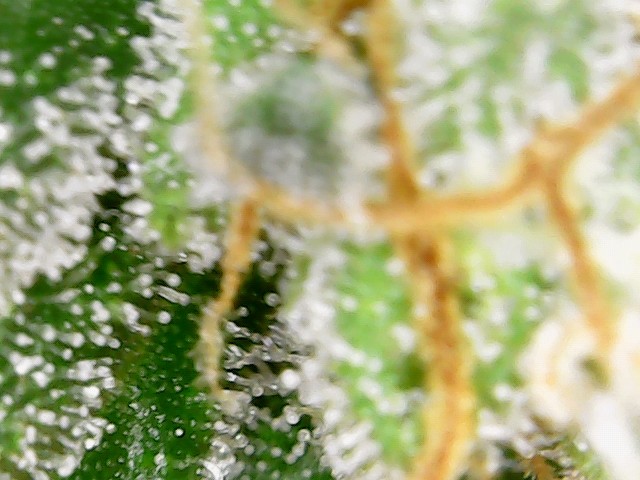 2021-10-09_23-48-01-32