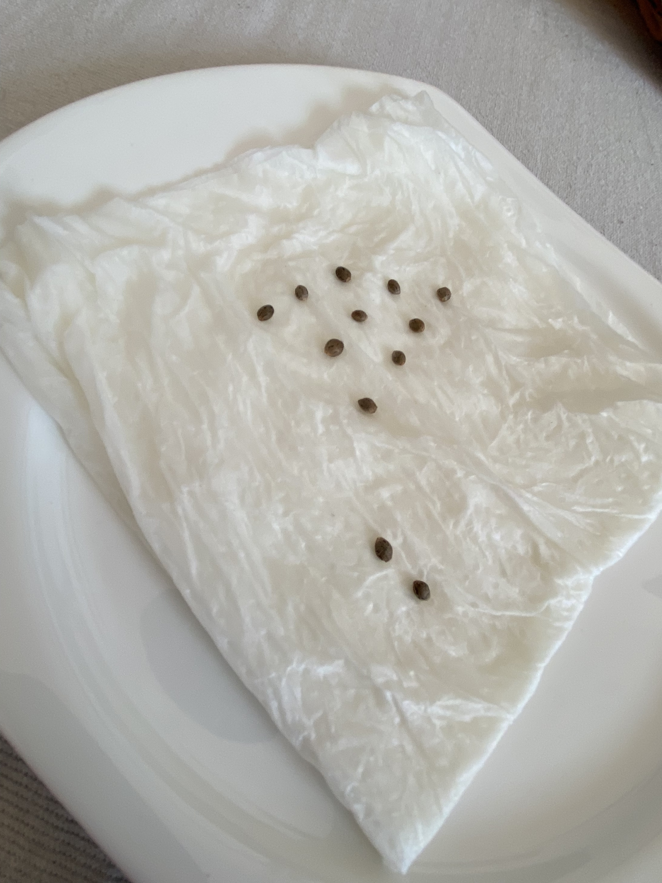 Outdoor Pineapple Express & Glue Gelato Automatics Growreports