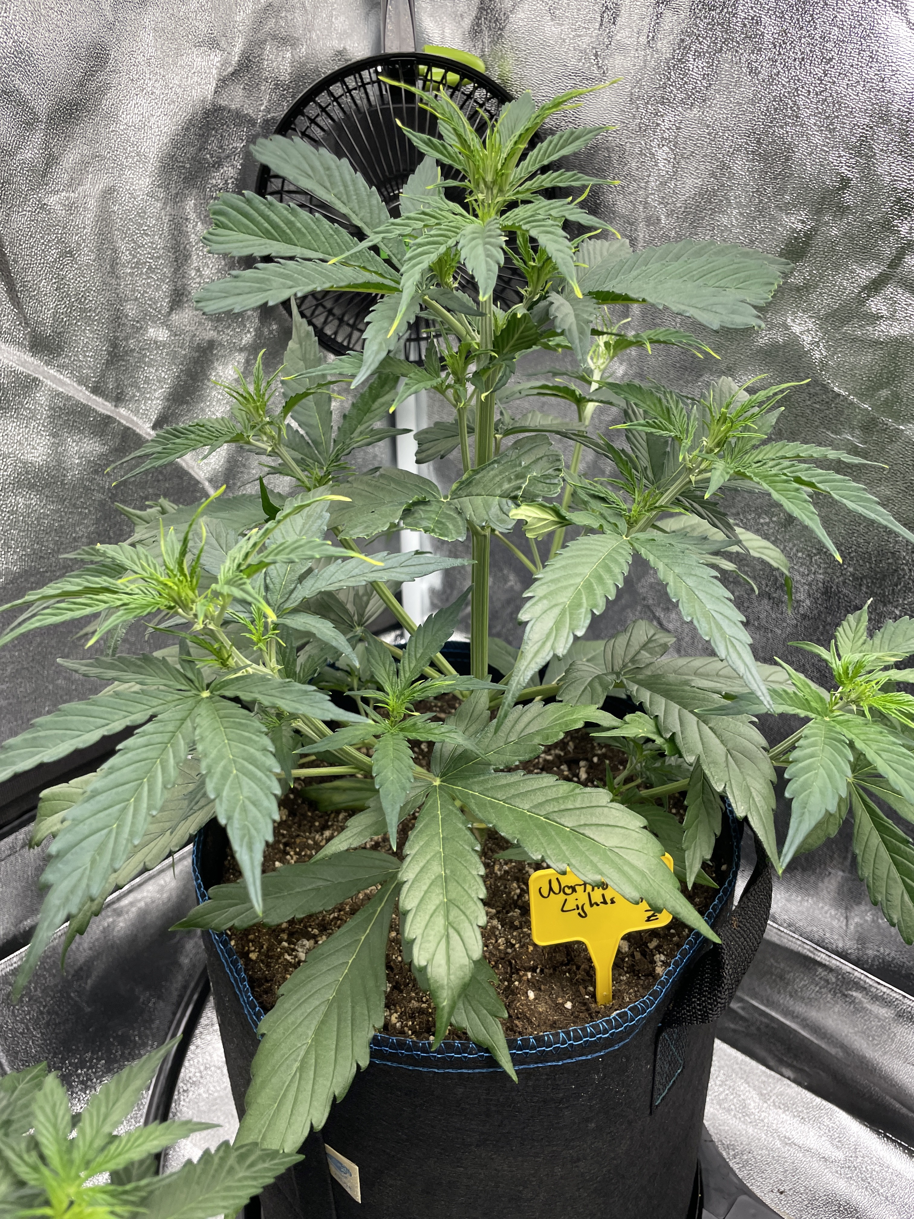 20211017_081357660_iOS