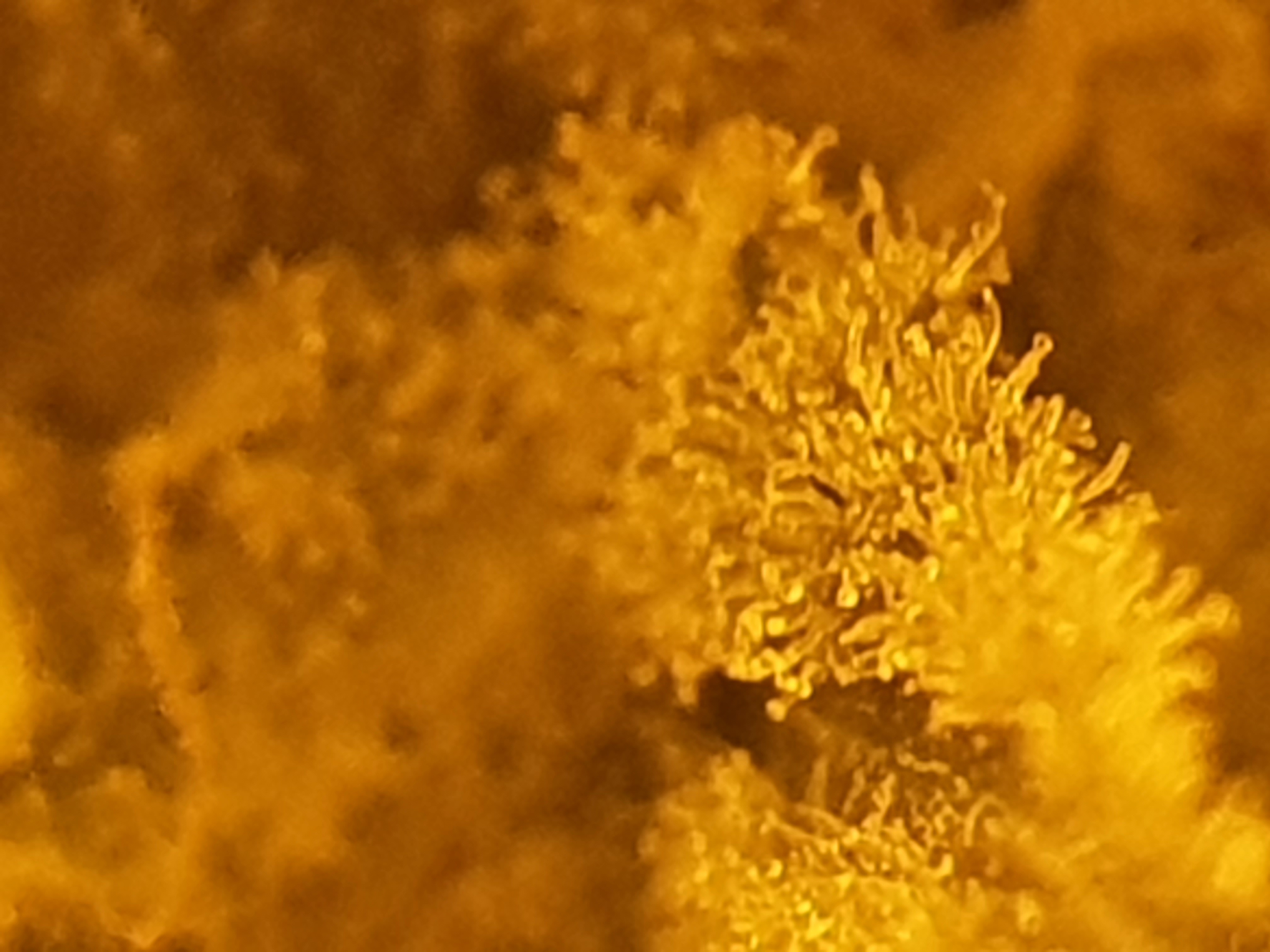 20211009_234442