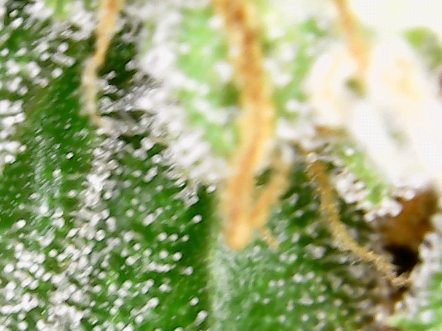 2021-10-09_23-47-58-01