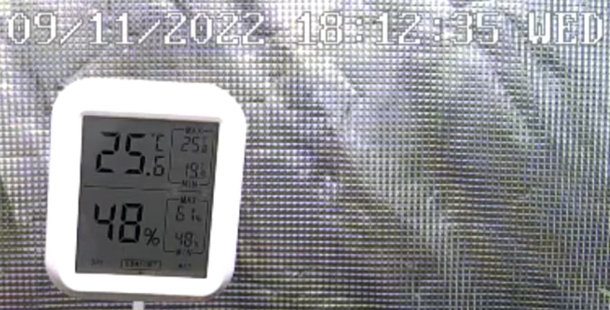 image|690x350, 75% thumbnail