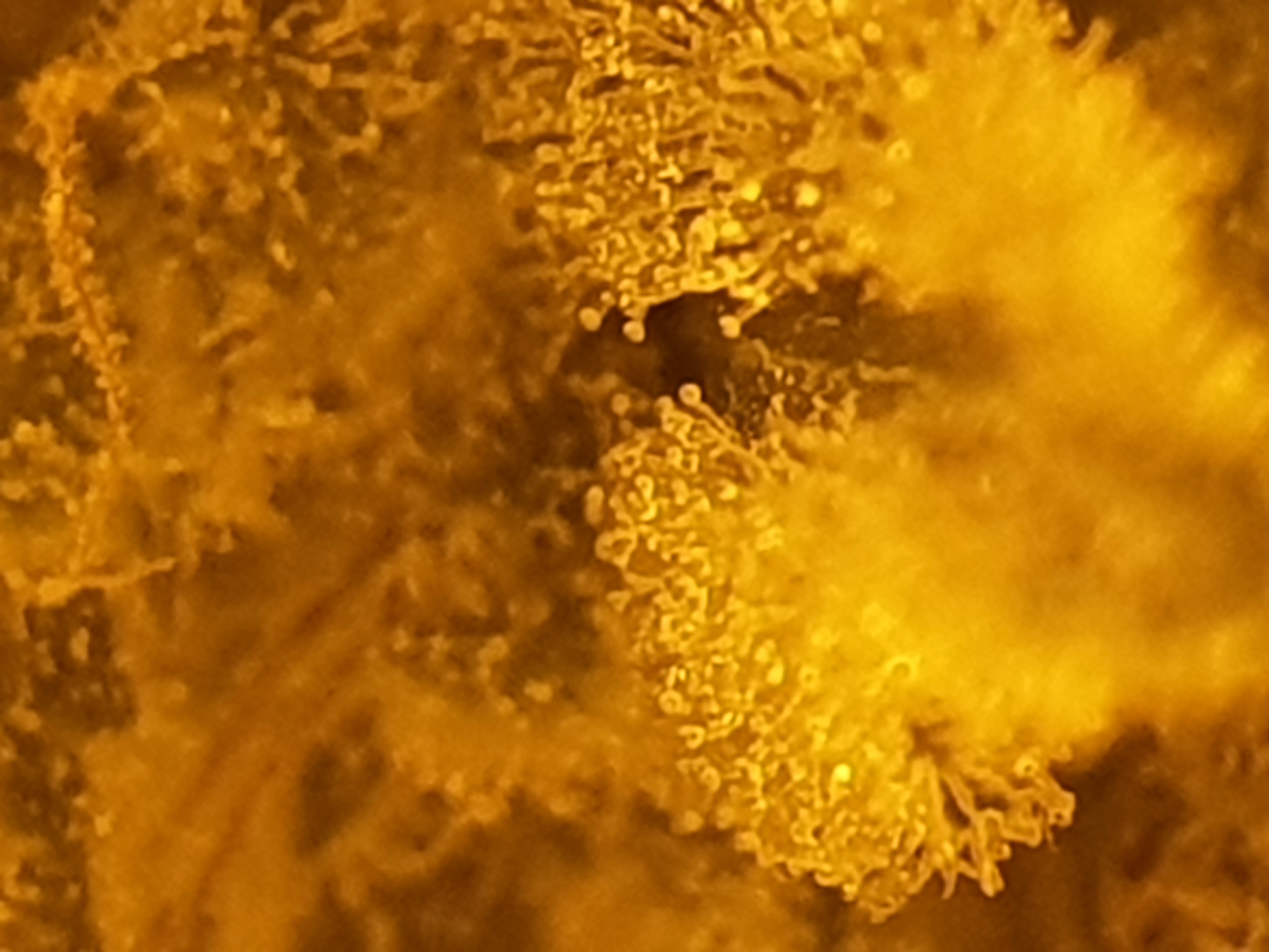 20211009_234441