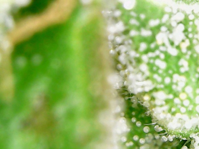 usbcamera20211209115221