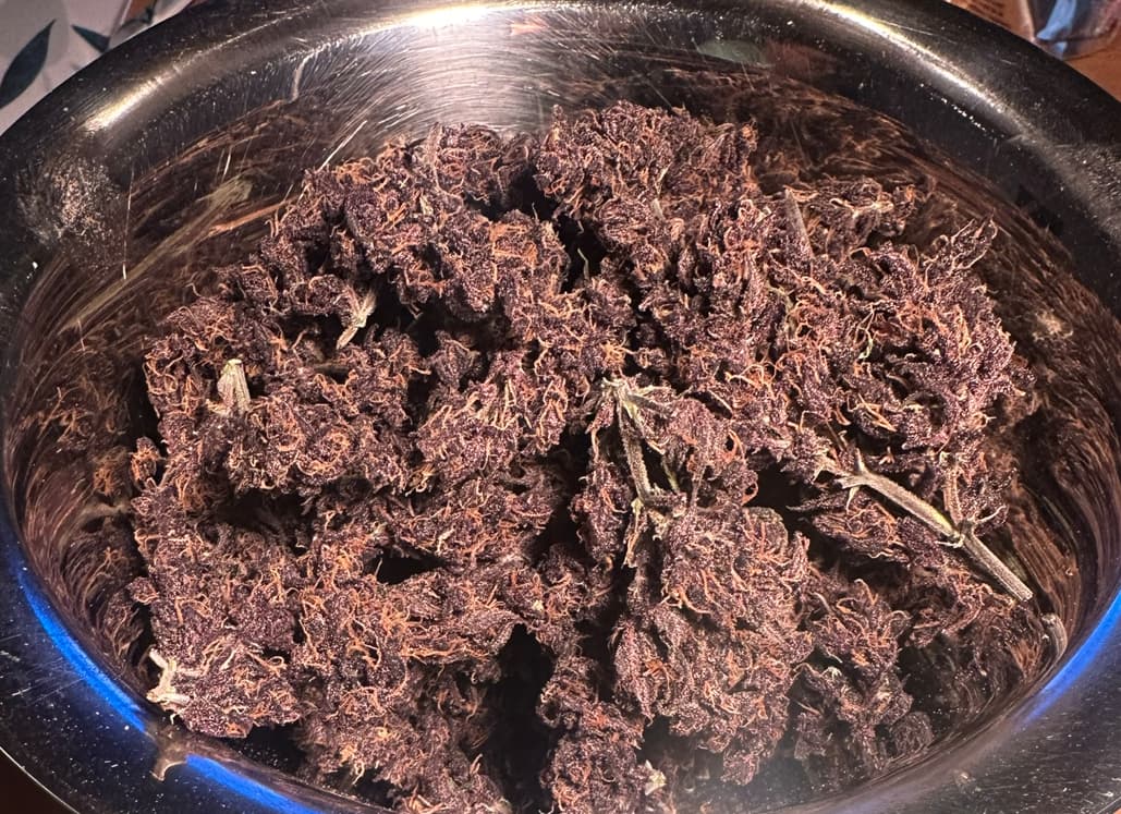 Growreport Bild 33