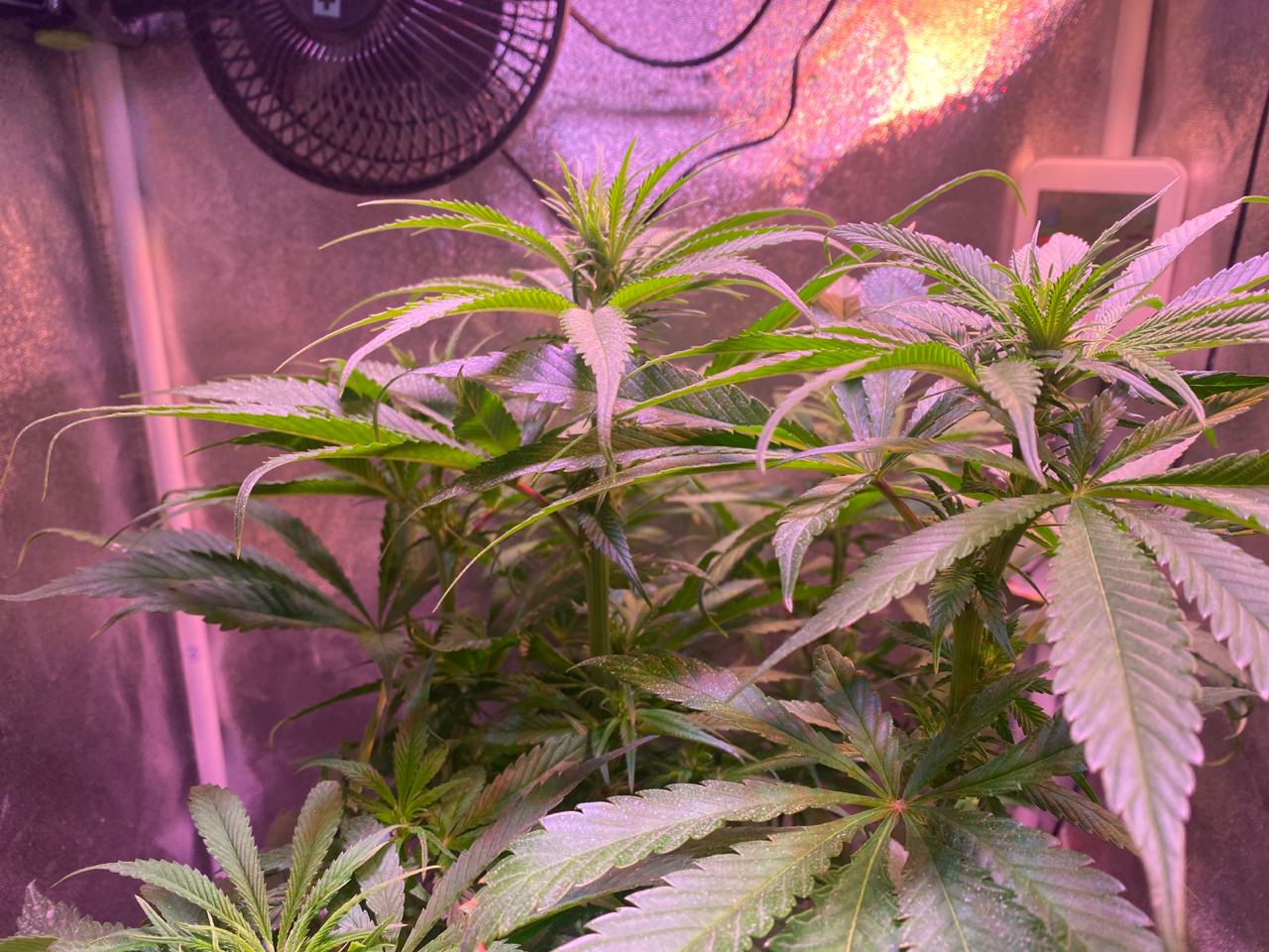 Growreport Bild 12
