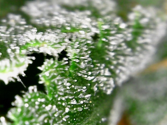 2021-10-11_15-47-08-62