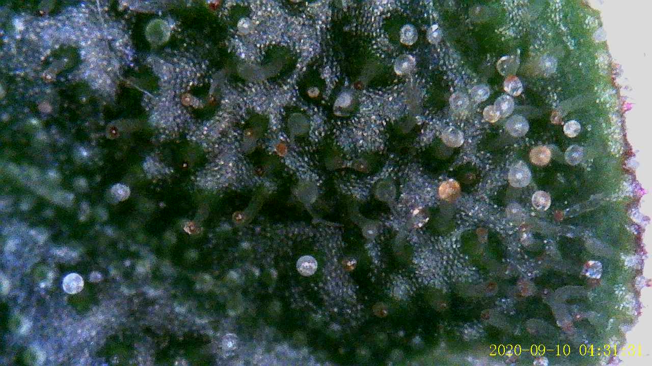 Growreport Bild 8