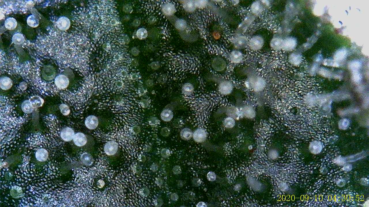 Growreport Bild 7