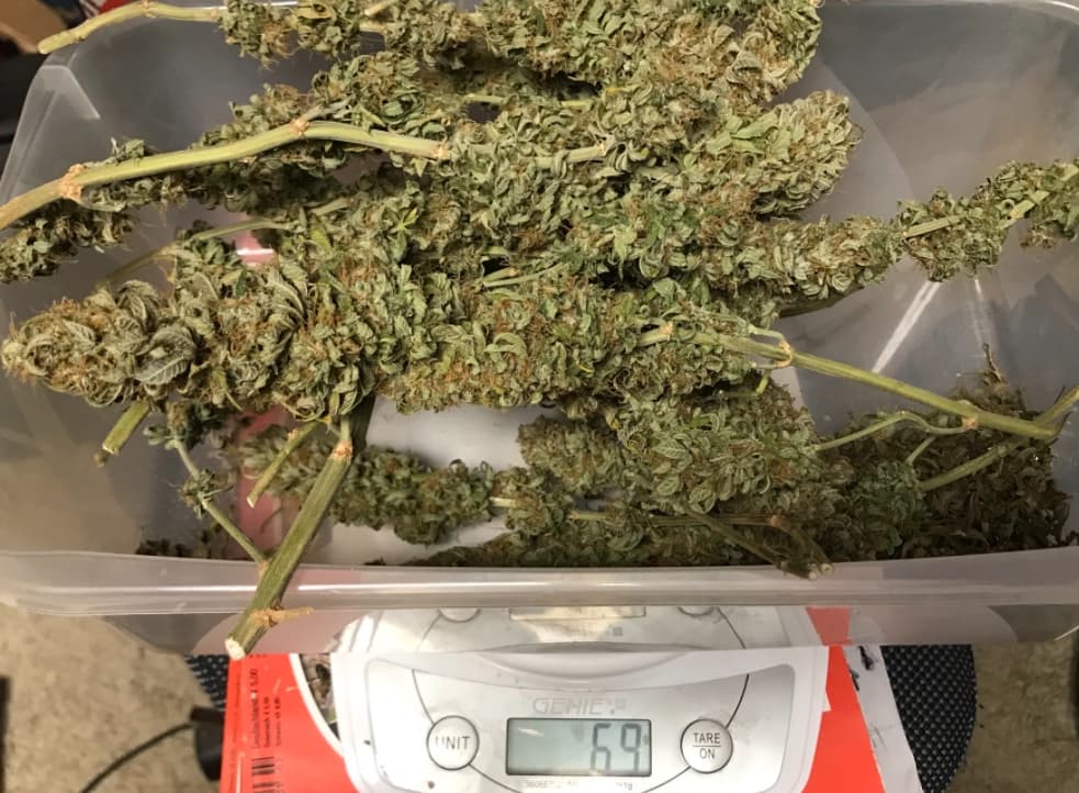 Growreport Bild 22