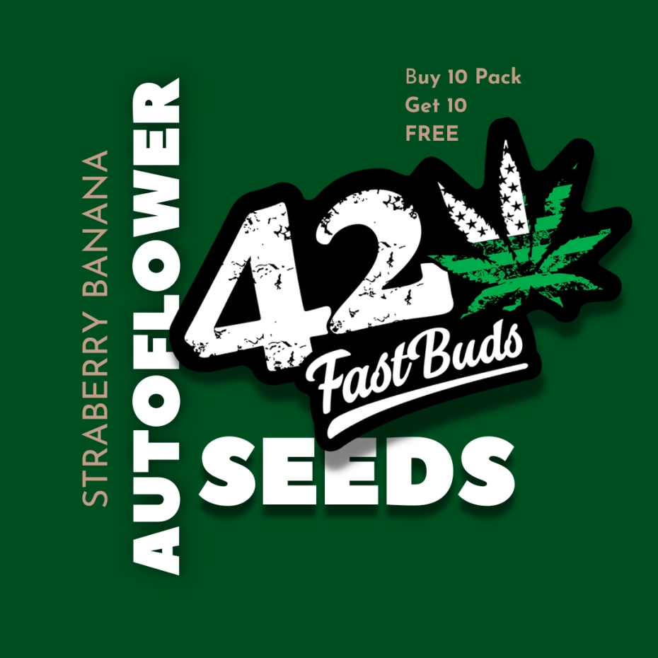 fast-buds-free-seeds