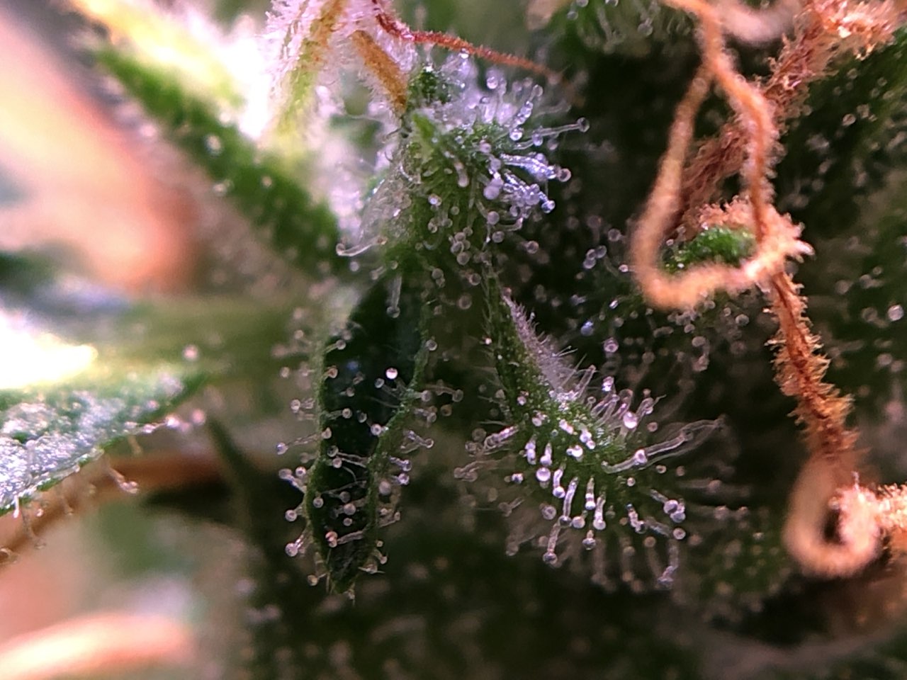 Growreport Bild 11