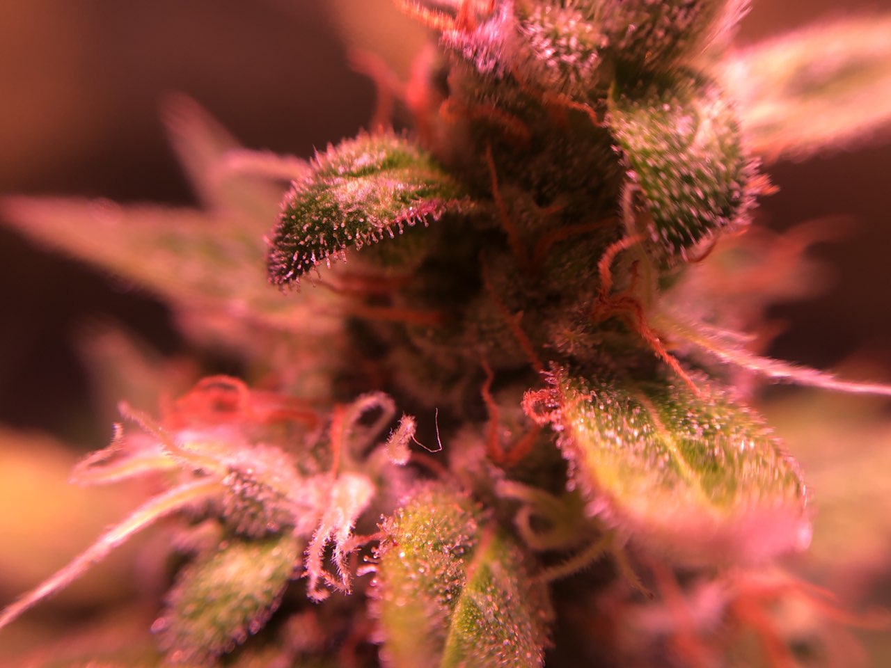 Growreport Bild 22