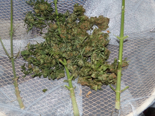 P1280839